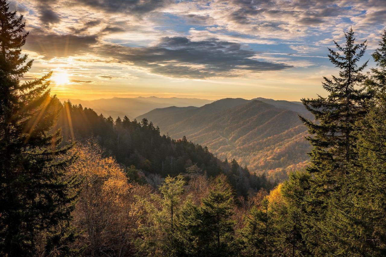 Nature'S Paradise Севьервилл Экстерьер фото