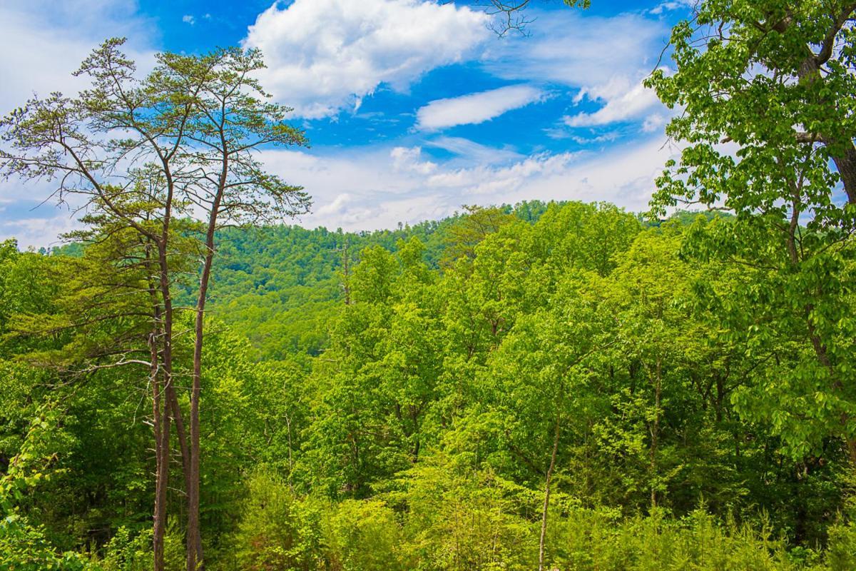 Nature'S Paradise Севьервилл Экстерьер фото