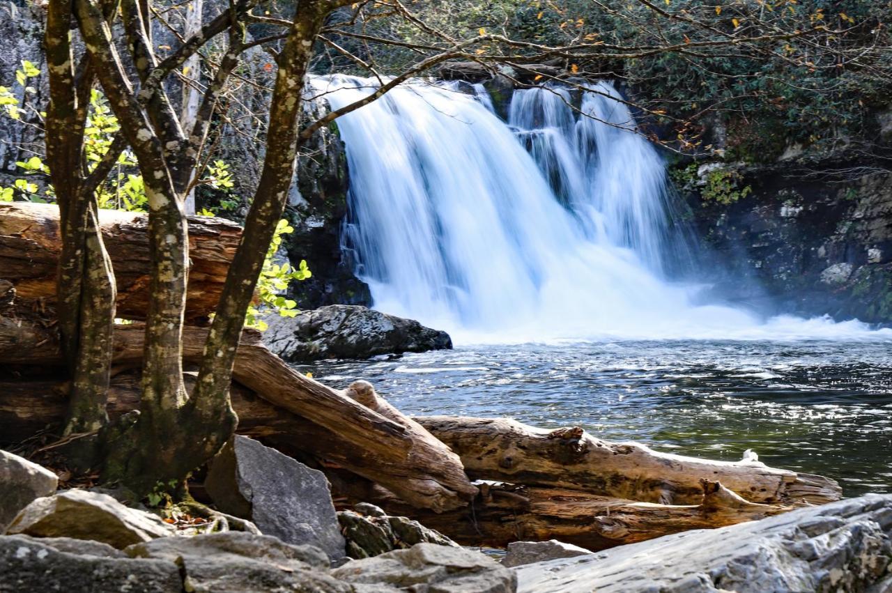 Nature'S Paradise Севьервилл Экстерьер фото